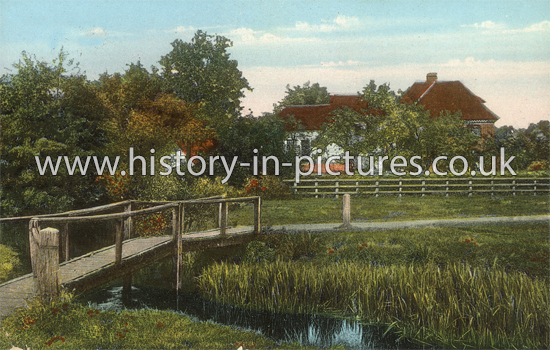 Box Mill, Halstead, Essex. c.1908